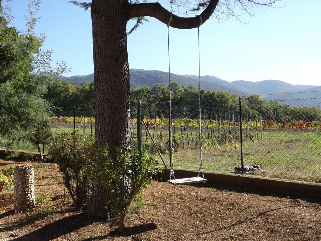 Il Pizzagiallo Bed and breakfast