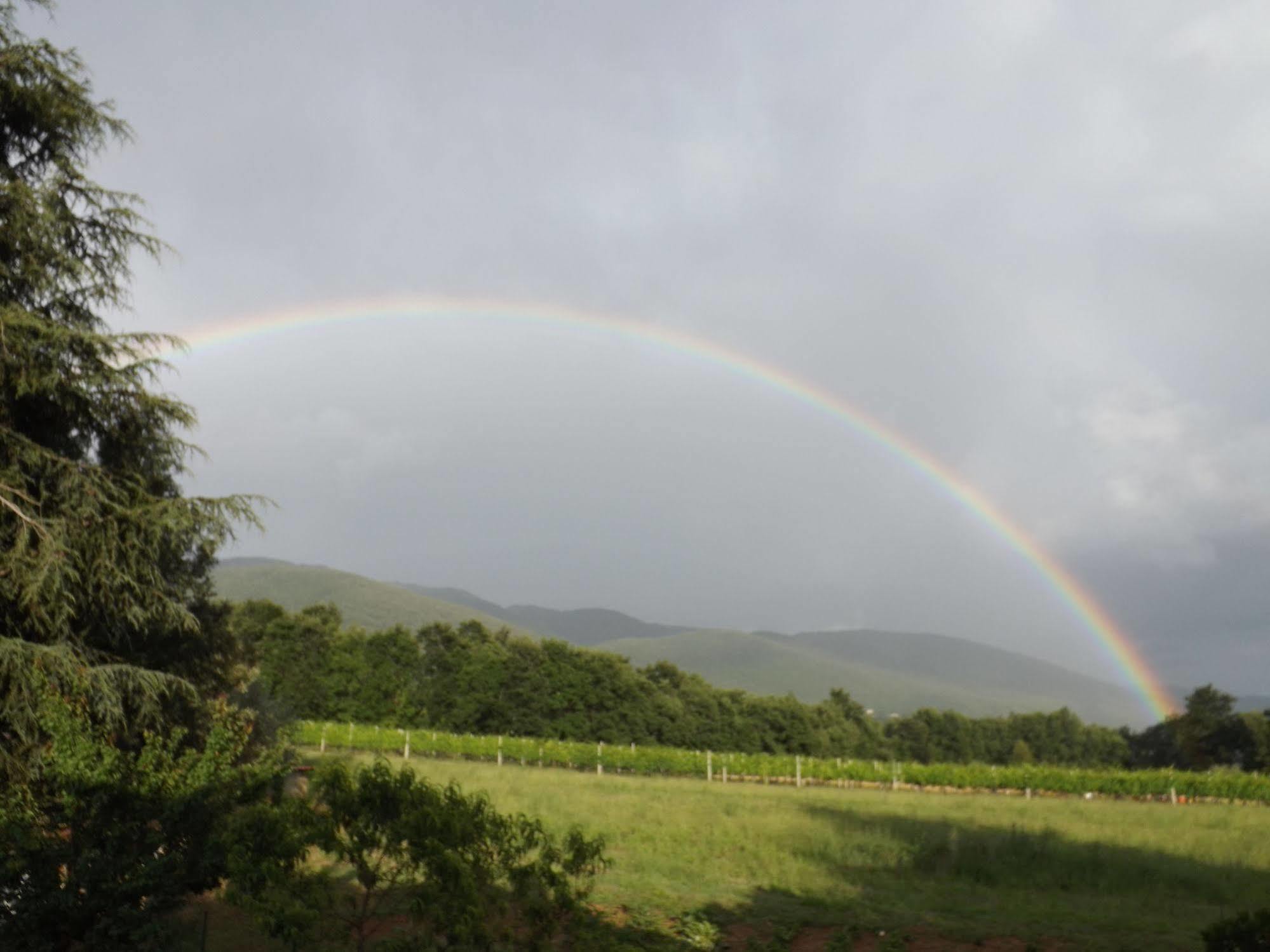 Il Pizzagiallo Bed and breakfast