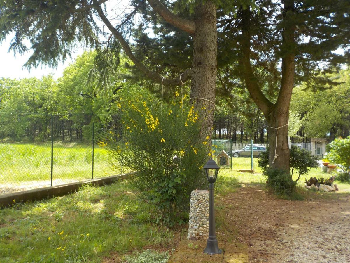 Bed and breakfast Il Pizzagiallo 3*